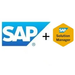 Enhance SAP SolMan Service Desk