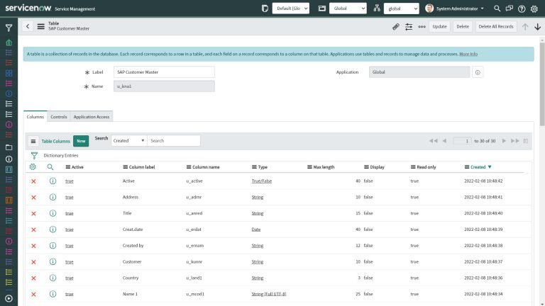 The generated table in ServiceNow